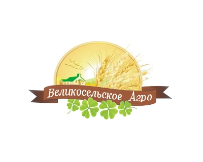 Разработка сайта ОАО «Великосельское Агро»