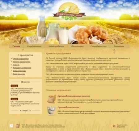 Главная страница
